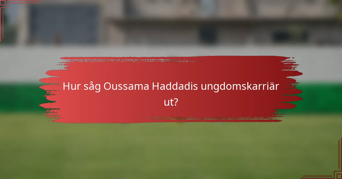 Hur såg Oussama Haddadis ungdomskarriär ut?