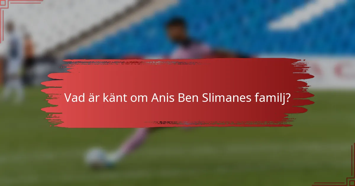 Vad är känt om Anis Ben Slimanes familj?
