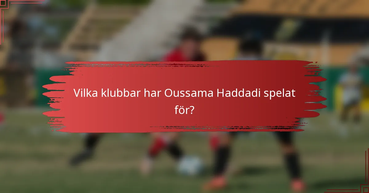 Vilka klubbar har Oussama Haddadi spelat för?