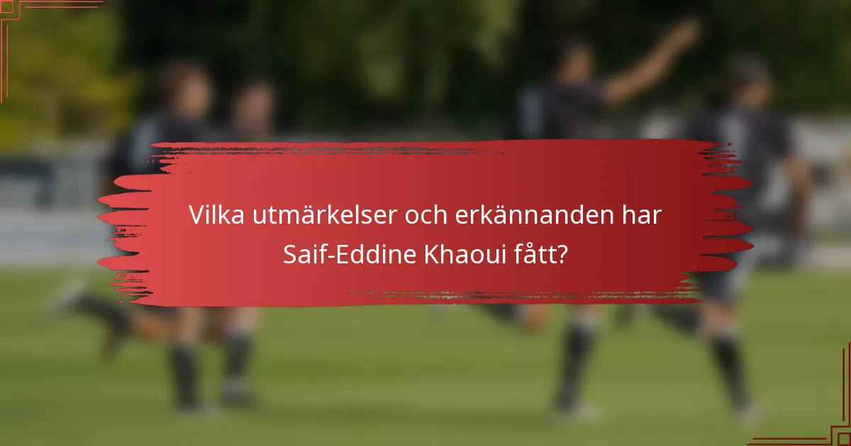 Vilka utmärkelser och erkännanden har Saif-Eddine Khaoui fått?