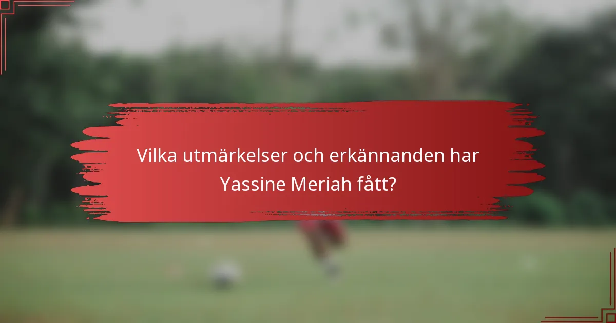 Vilka utmärkelser och erkännanden har Yassine Meriah fått?